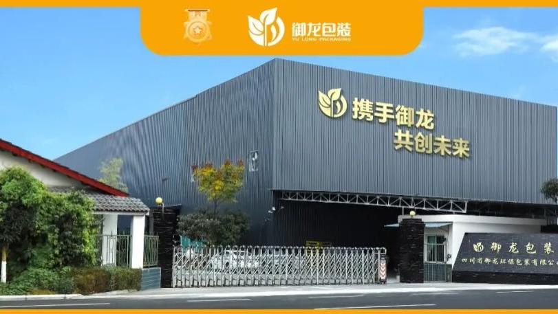 御龙包装：当无纺布袋成为消费者的社交货币，外卖包装“内卷”如何破局？