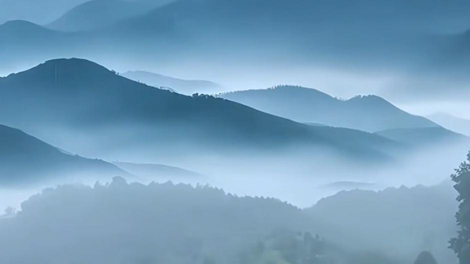 数学总丢冤枉分的原因及应对方法