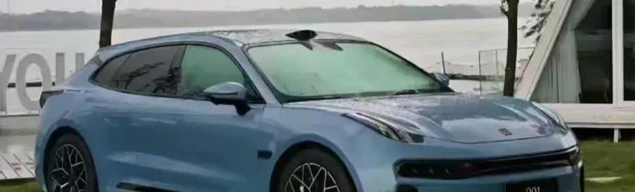 专家说：预测未来中国国产汽车只剩下6家：
1：比亚迪汽车（代表深圳）
2：长