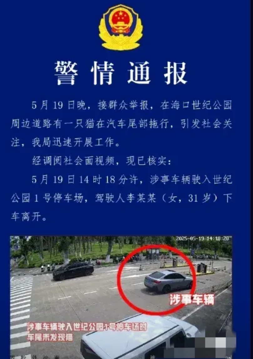 海口有关部门通报所谓“车辆拖拽虐猫”调查情况，不是虐猫，那么问题来了，谁来为无辜