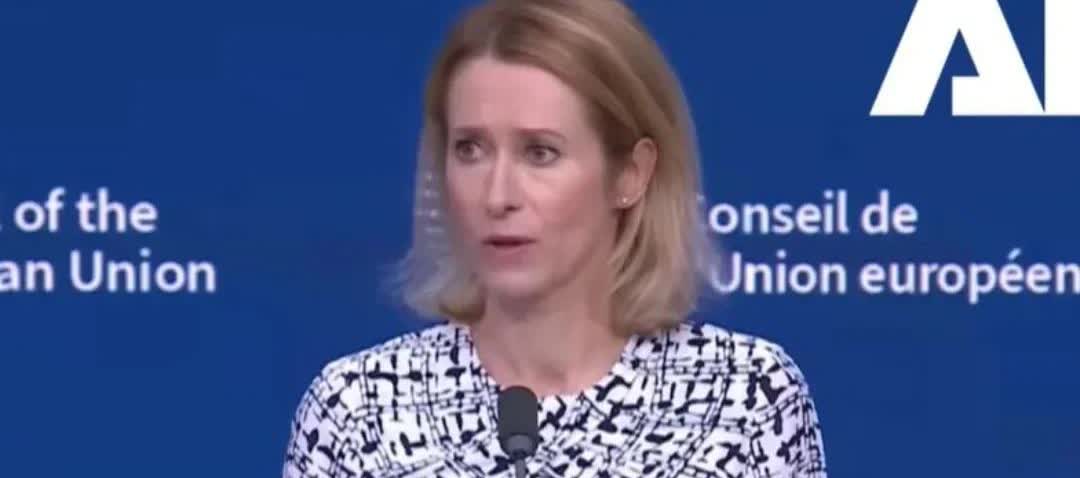 这次为欧盟点赞。欧盟外交与安全政策高级代表卡亚·卡拉斯称：杀害在加沙寻求援助的平