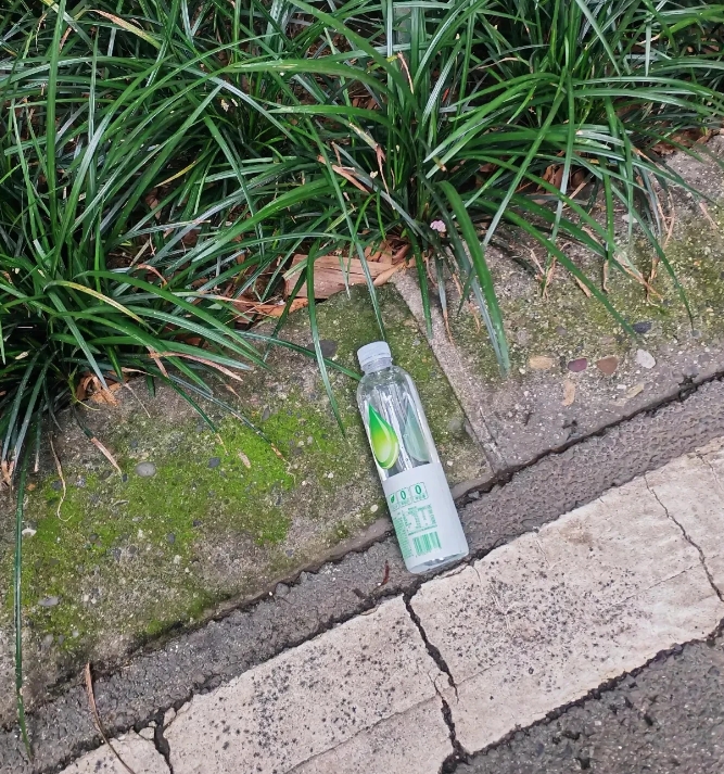 失业后，我突然对这些感兴趣了
说起来很丢人
上午买菜回来再路边看到了这个，大脑出