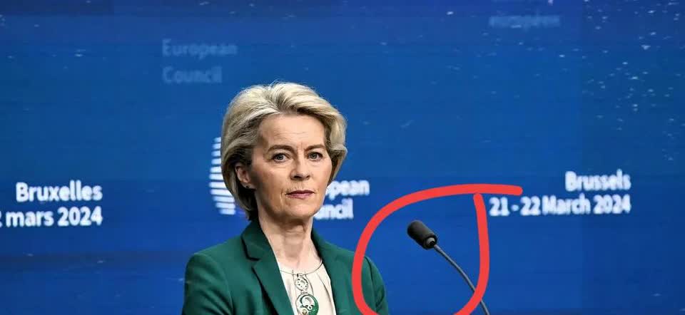 不查不知道
一查吓一跳！！
冯德莱恩主席表示某大国在维护国际秩序方面发挥了重