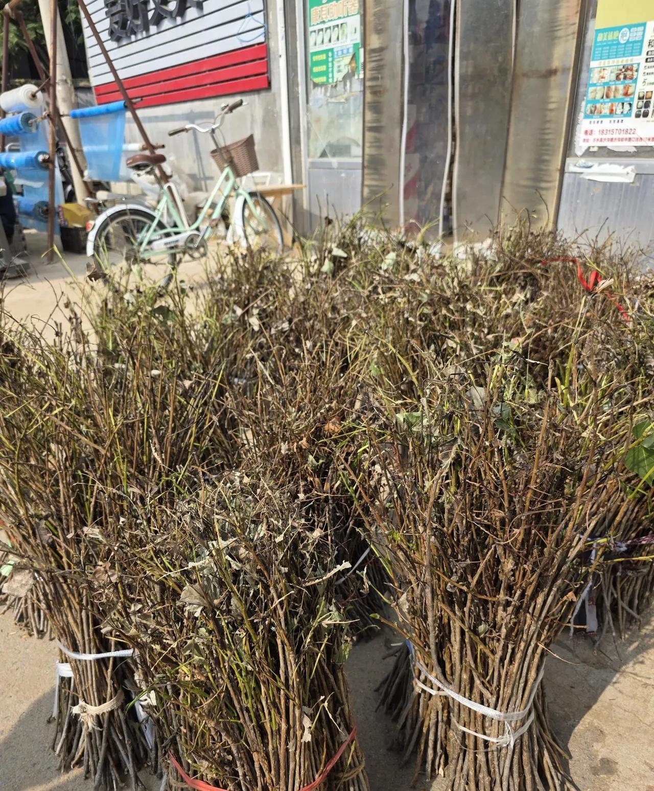 除了山东的乡亲，其他地方还有认识这东西的吗……
如您所见，这是树枝，干树枝，枯树
