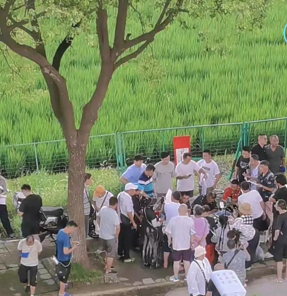 沈老师的讲话水平真的堪称大师级，不仅在于他的逻辑性和严谨性，更体现了他的仁德之心