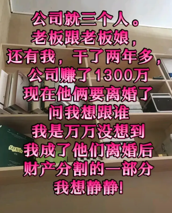 公司就三个人老板跟老板娘还有我，干了两年多公司赚了1300万，现在他们离婚问我跟