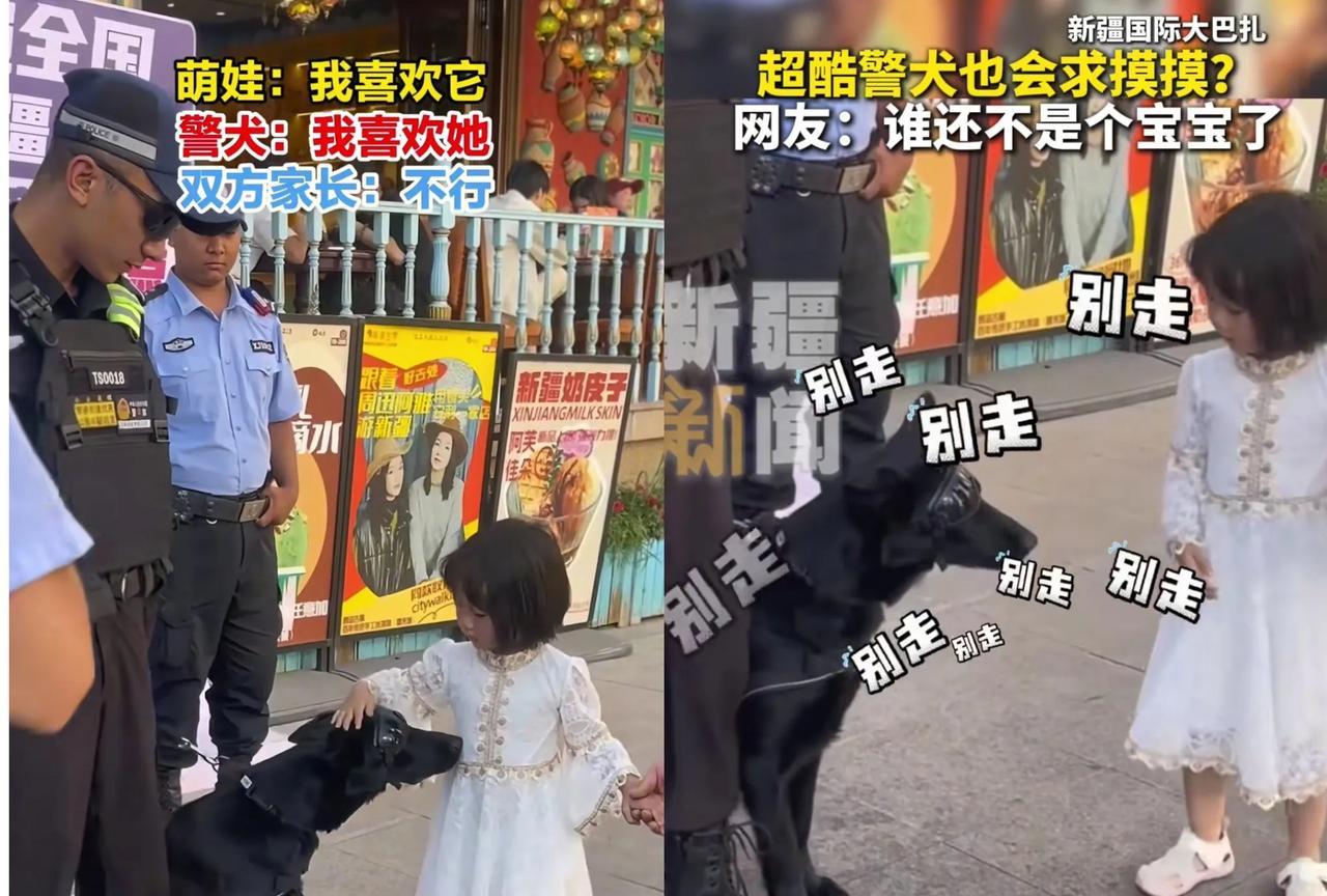 “彻底解释不清楚了”
新疆，帽子叔叔带着警犬执勤，发生了超有爱一幕。一个路过的小