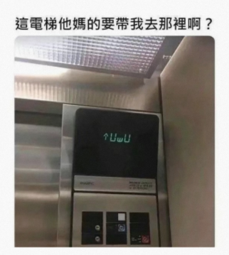 此时惊恐的我