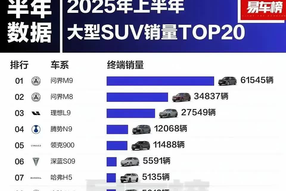 9字头都挺出彩的
看来，大型SUV还是备受欢迎。虽然AITO的M9销量第一，但