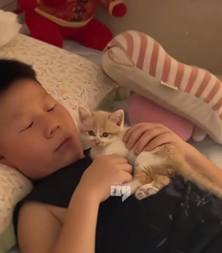 如果科学解释不了，不妨用爱试试。
河南一位小男孩，爸爸去世3年多了，偶然一天妈妈