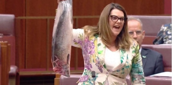 澳大利亚议会上，一名女议员突然拿出一条去了鱼头的三文鱼一顿挥舞，大声质问，澳大利