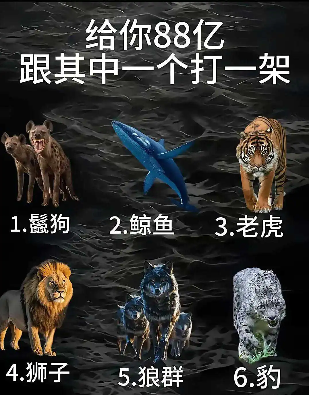 给你88亿，跟其中一个打一架，你选谁？
