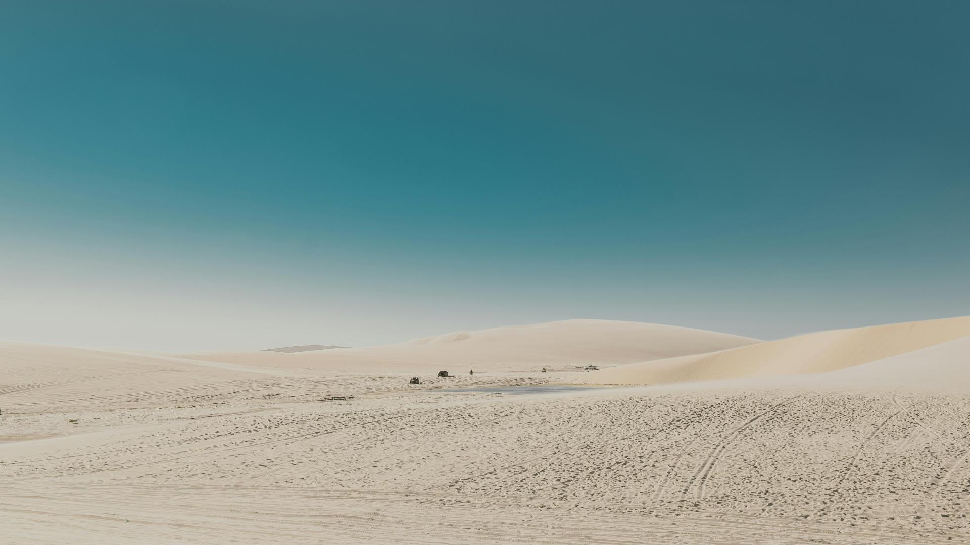 青岛婚姻情感心理咨询中心：为什么你越努力，对方越不爱你？