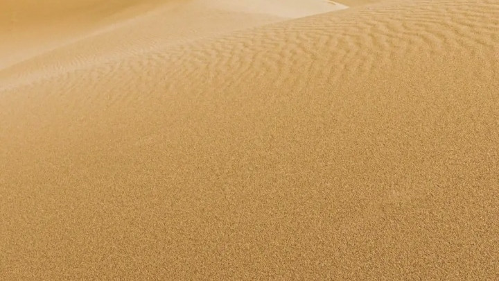 男人看美女的第一反应是先看哪里？