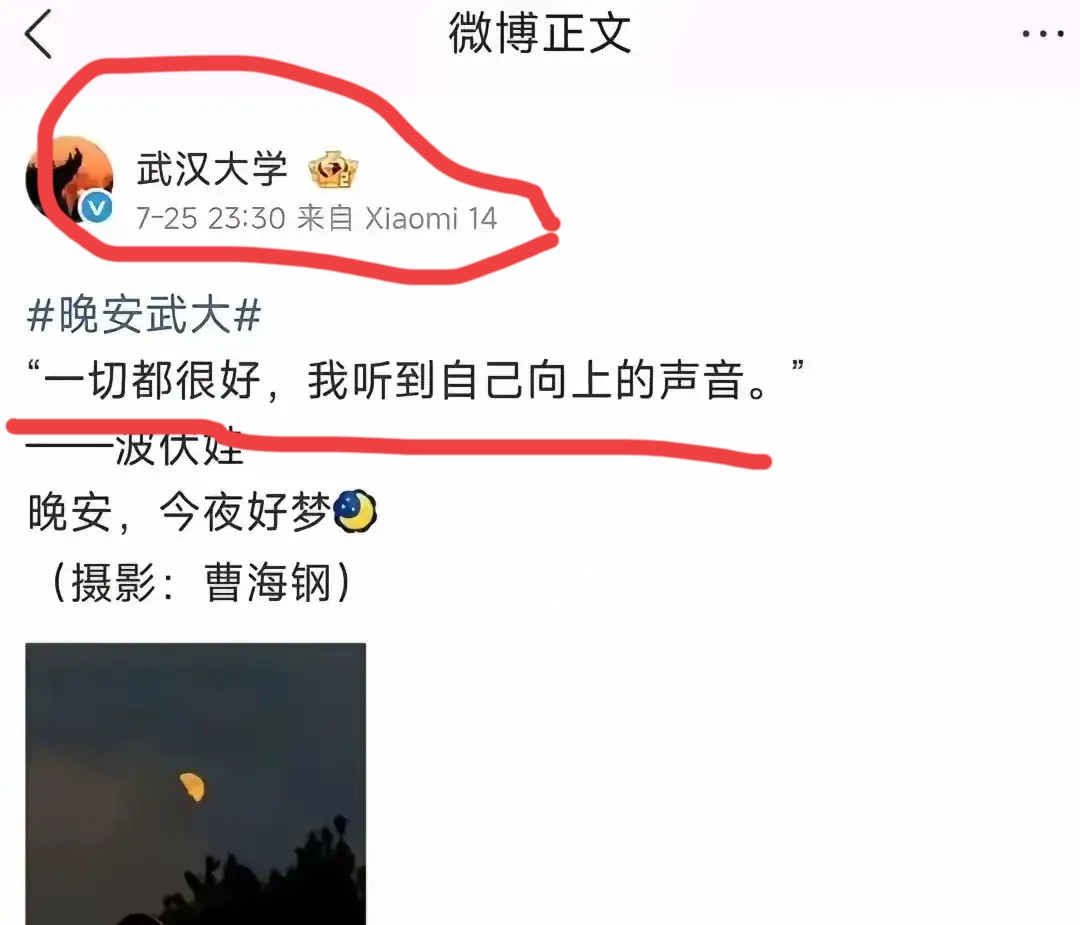 武汉大学终于发声了，可是学到了杨某媛的精髓，真会阴阳！

一句“一切都很好，