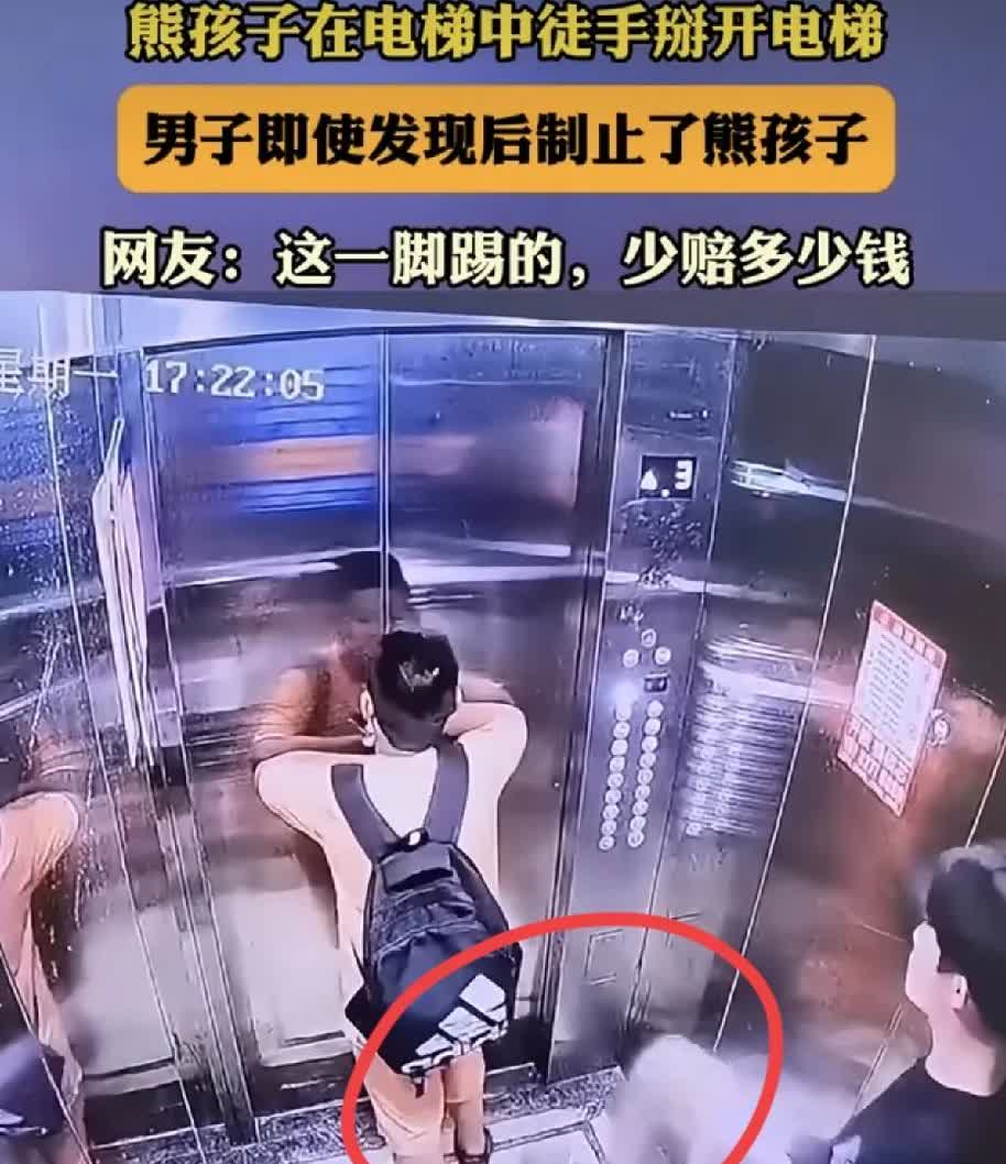 这孩子家长真的谢谢这个踹了自己家孩子的男子的“一脚之恩”!这一脚得让这小孩家里少