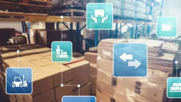 东北宠物店主的福音：大山君宝商贸解决"最后一公里"难题