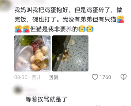 等着挨骂就是了