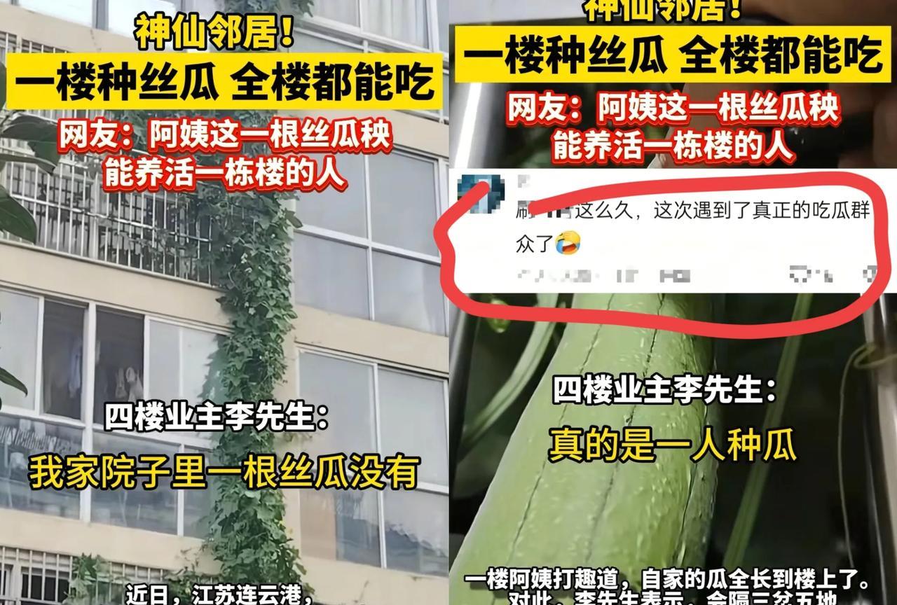 这下出名了，不仅邻居知道了，全国人民都知道了！
江苏连云港那栋楼的丝瓜，怕是成了