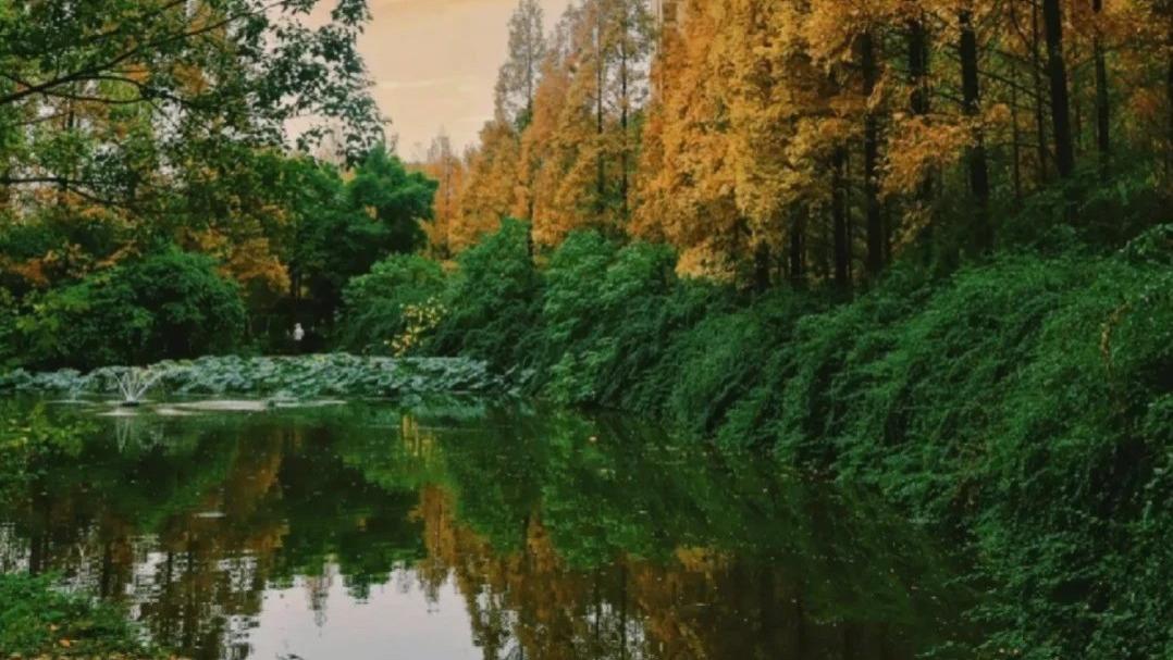 淮北3天2夜深度游 | 从“煤都”到“绿金秘境”，解锁皖北被低估的宝藏小城！