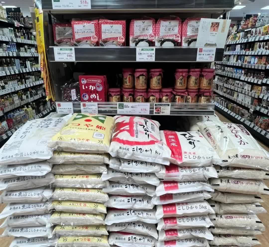 岛国人民这次亏大发了
一年多高价陈米白吃了，原以为东亚还有个硬骨头，没想到也跪