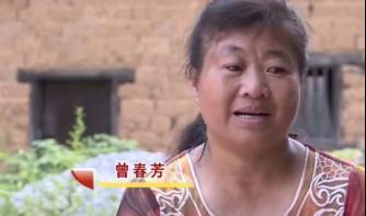 1989年，为了补贴家用，已经订婚的19岁女儿南下打工，从此杳无音讯。31年后，
