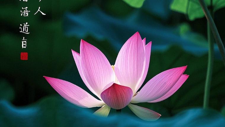 修心三境：你的认知层次决定人生格局