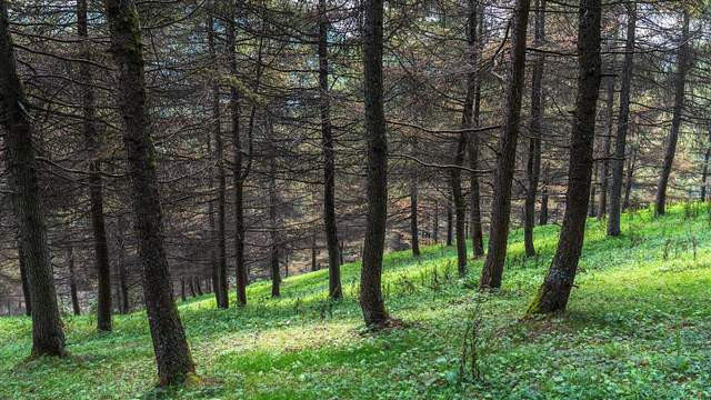 棉纸袋用于服装包装：天然守护与格调升级的双重优势