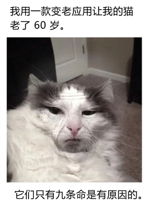 它们只有九条命是有原因的