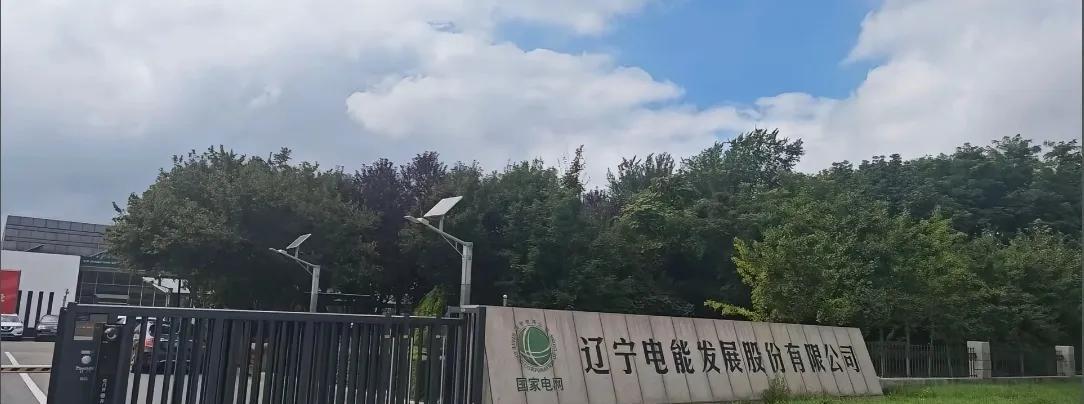朋友去了辽宁沈阳工作，看他发的日常，说在电力公司工作。电力公司一般都是国网旗下，