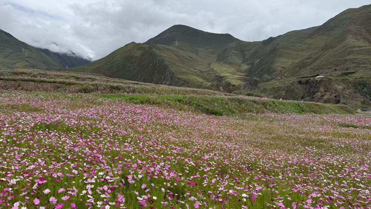 UL507: 2024电气性能测试判定标准：绝缘电阻、介电强度等核心项目解读
