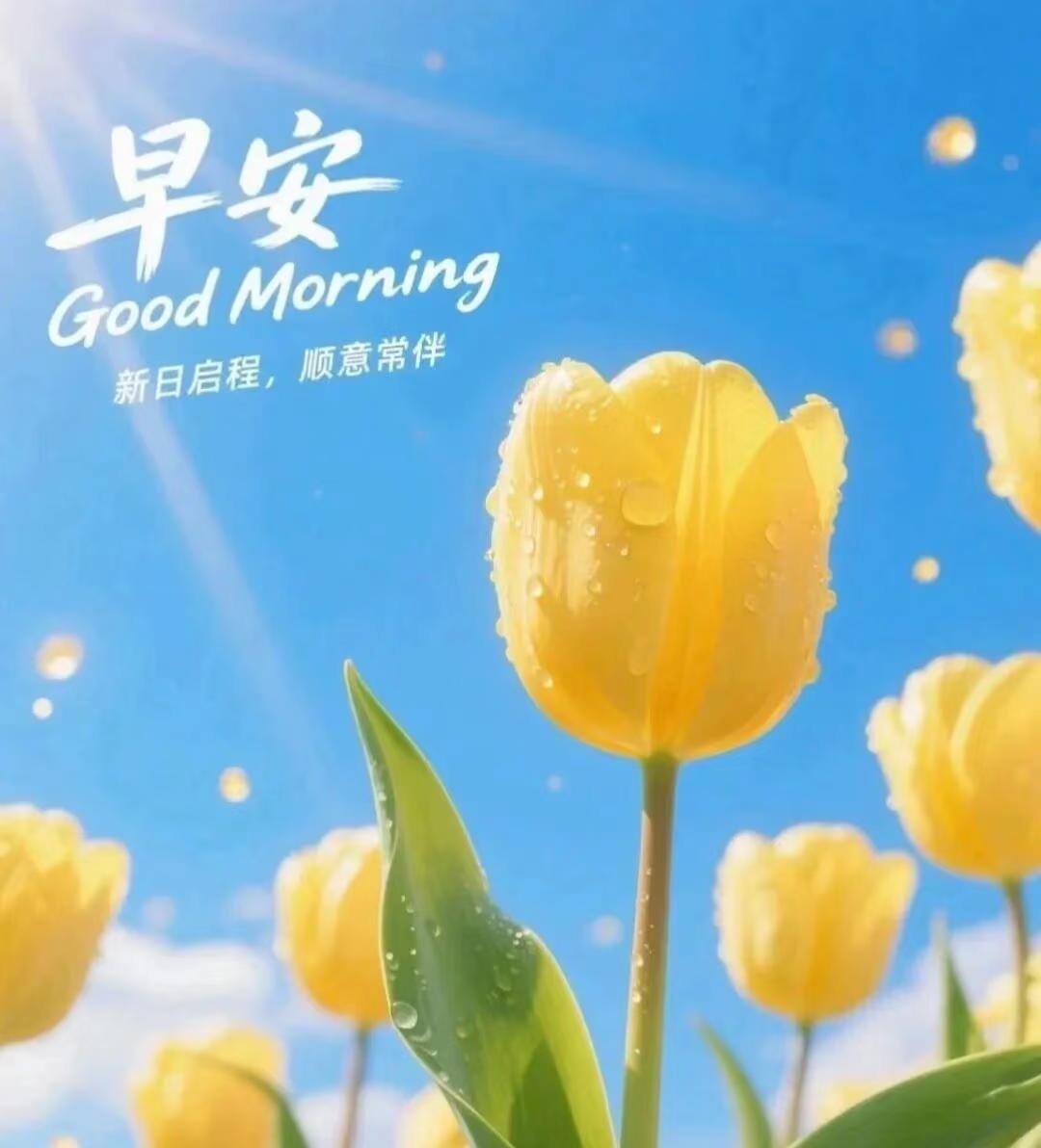 早上好，今天是10月9日星期四。
随着全运会举行日期日渐临近，有关女排的话题也随