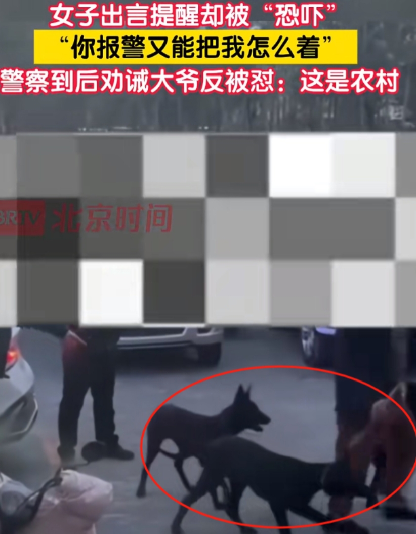 北京，一位大爷在下午遛狗的时候，带着俩大黑狗还不牵绳。一位热心女子瞧见了，就好心