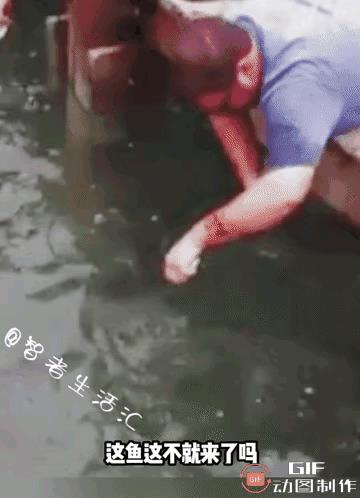 空喜欢，白折腾，无可奈何鱼跑了。