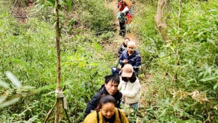 万婴米兰春天幼儿园“活力运动月，亲子登岳麓”——赴一场自然与陪伴的成长之约