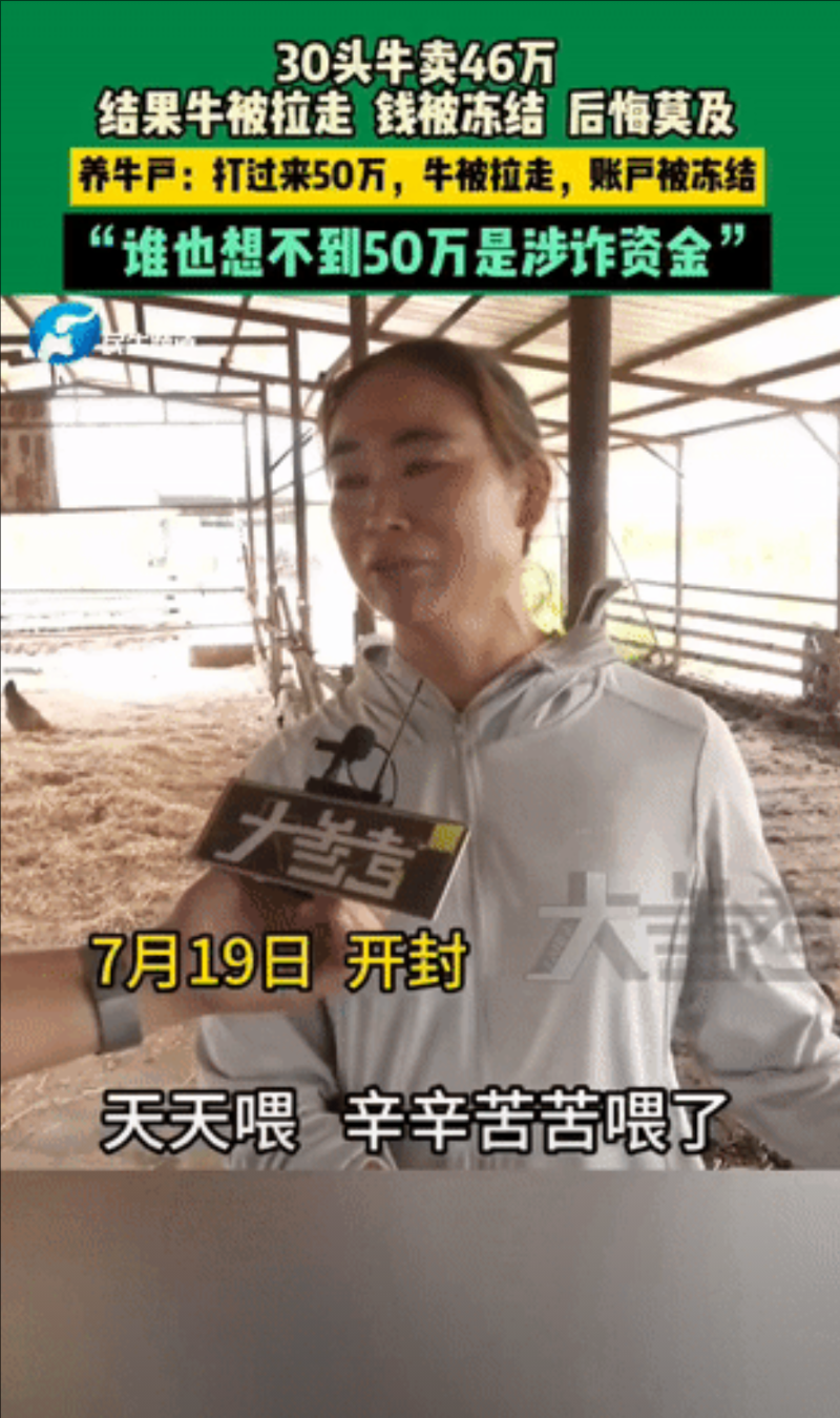 “这找谁说理去！”开封，一养牛户王女士卖了30头牛一共46万，对方打款50万后，