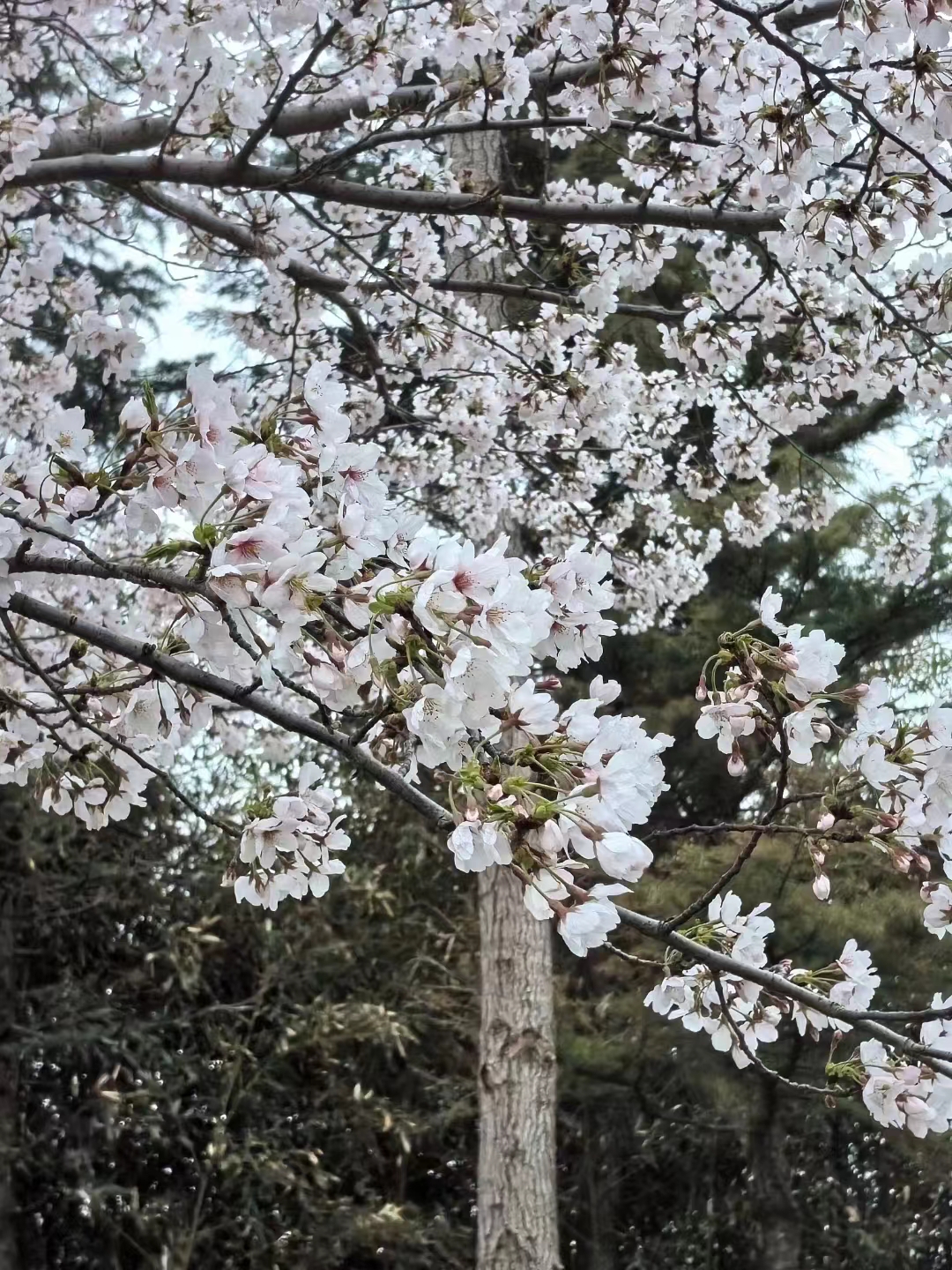你不在，我则忧虑