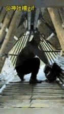 我居然看完了！[捂脸]意义在哪里？