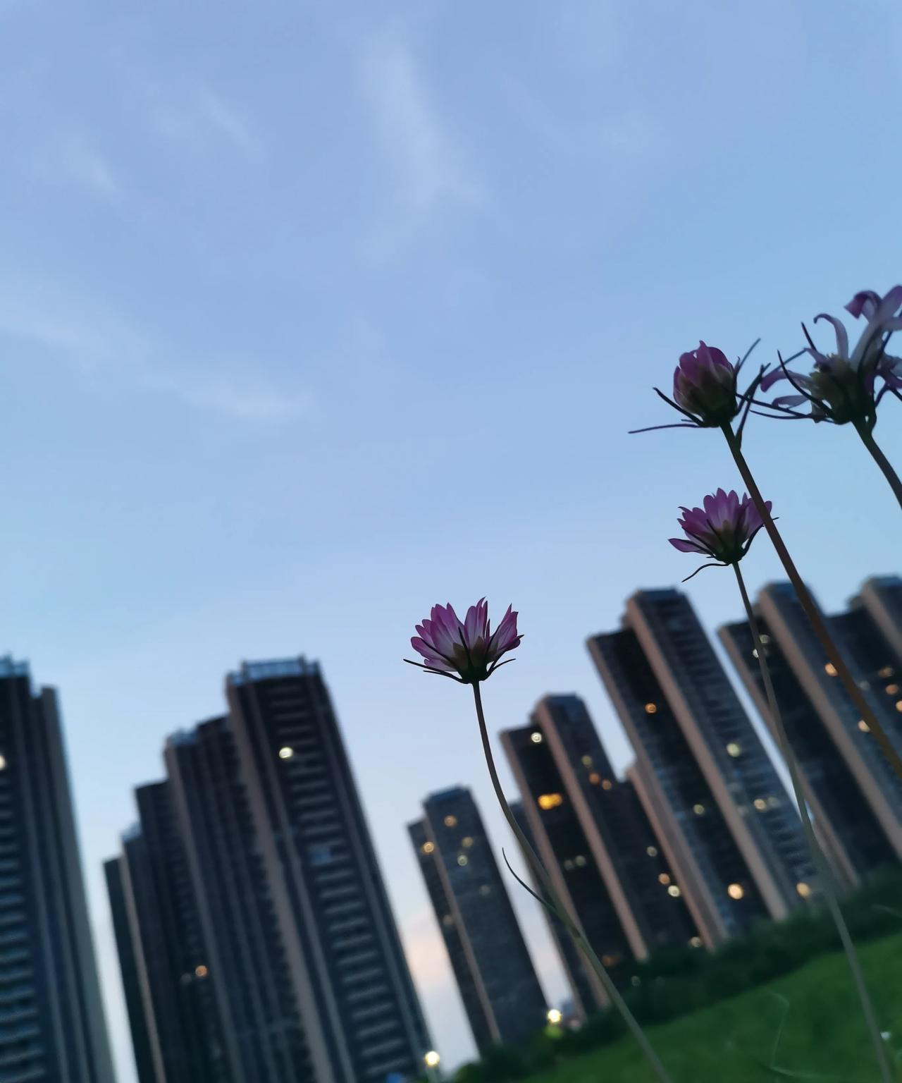 同事觉得她老公窝囊，赚不到大钱，给不了她想要的生活，说当初自己瞎了眼，只重外表（