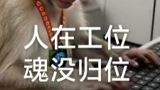 收假啦，“工位主理人”已就位！