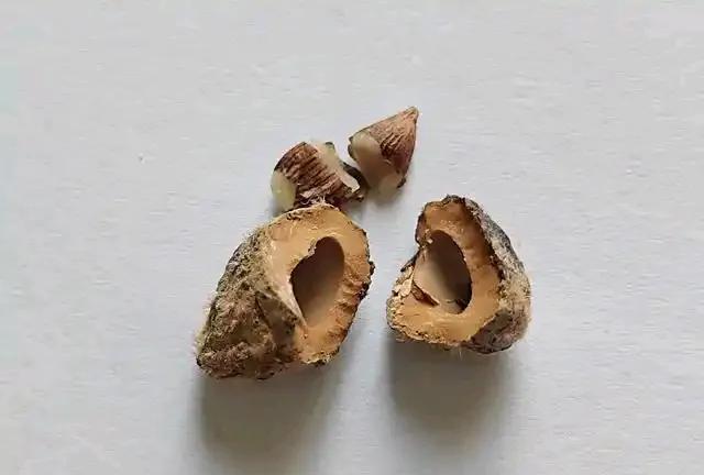 一方水土养一方特产，
第一次知道杨梅核有用处，
听浙江同事说，
杨梅核，不要扔掉