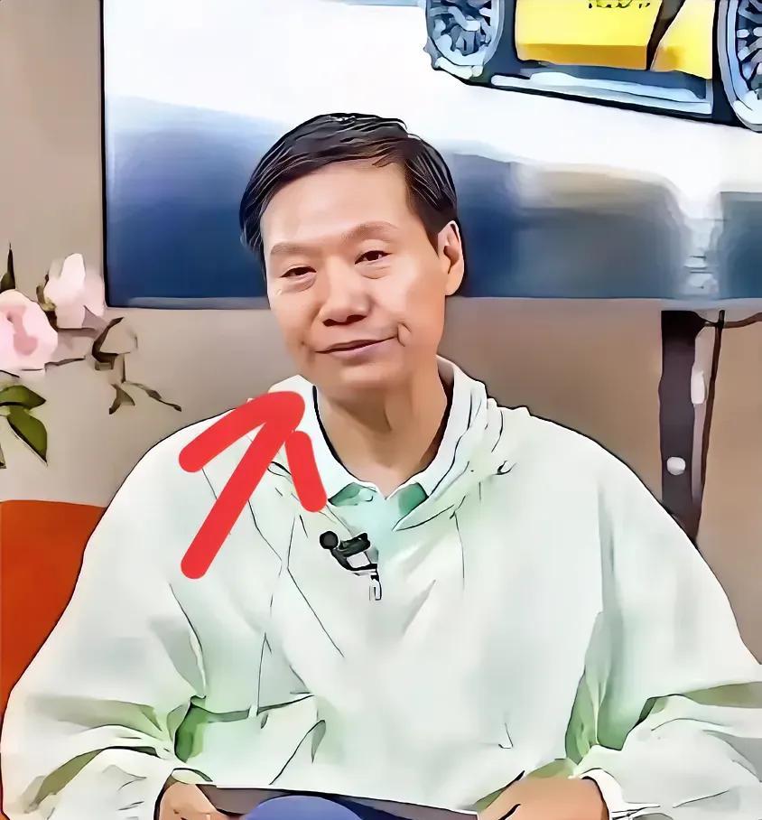 小米这次的麻烦不会小，
雷军自用个人账号发声后，
到现在已有5天无消息了，只有卢