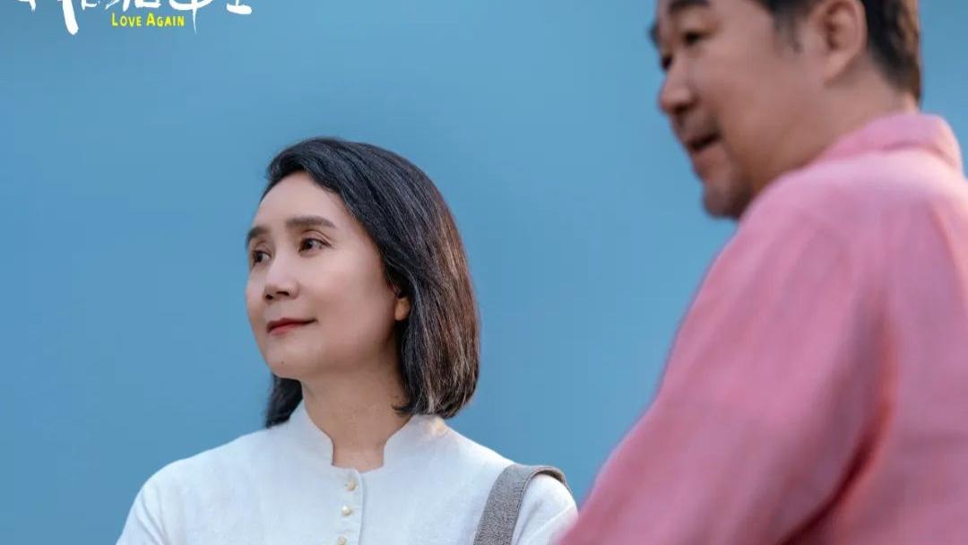 《我的后半生》大结局：沈卓然和聂娟娟意外重逢，却已物是人非