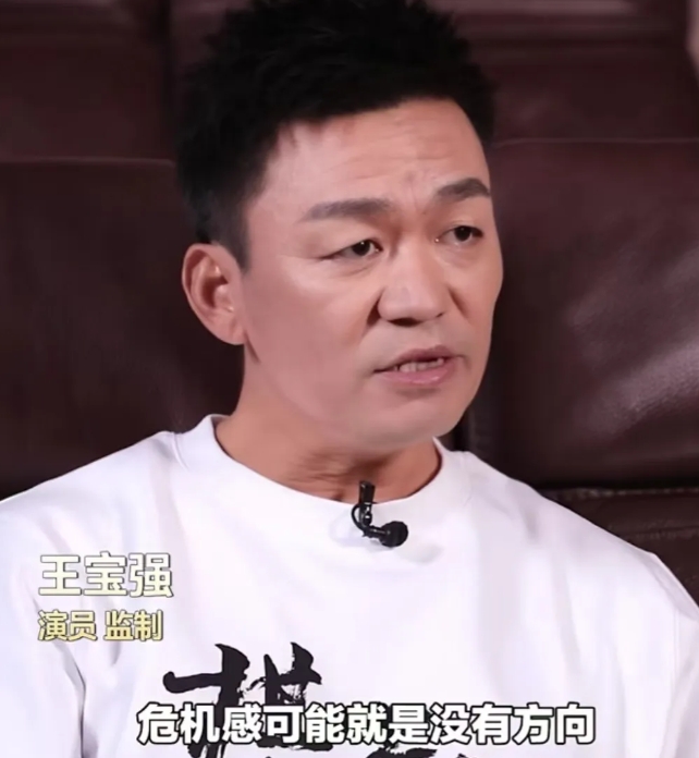 演员王宝强说“危机感可能就是没有方向，人生就是体验的过程，认真的面对，认真做好自