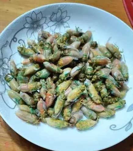 求问这美食的产地在哪？名字是什么，看着就想吃！
