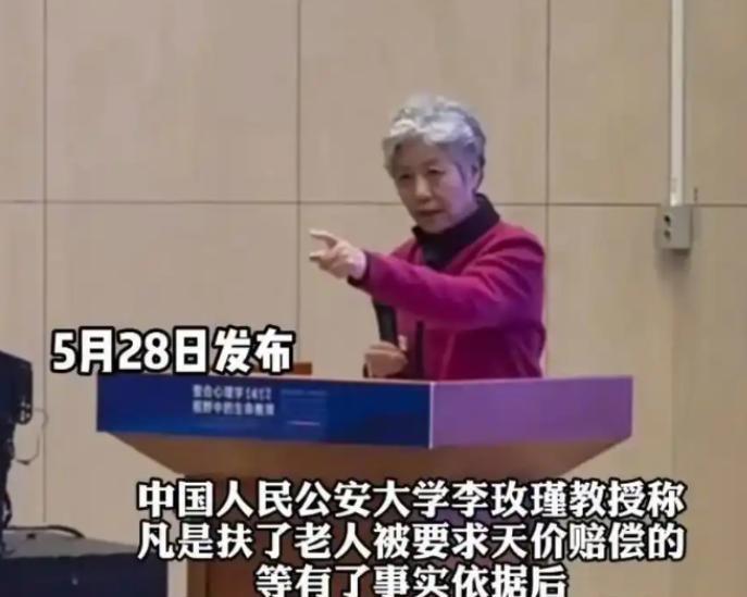 “不够判刑，那就高额罚款！”中国人大李玫瑾教授去年建议，凡是扶了老人被要求天价赔