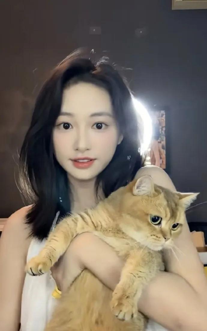 #杨肸子深夜开播# 她和小猫萌萌萌，双倍可爱暴击！