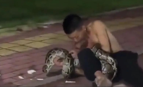 醉酒男子被蟒蛇缠身！消防员揭秘致命细节
你见过最离谱的醉酒现场是什么样？广东这位