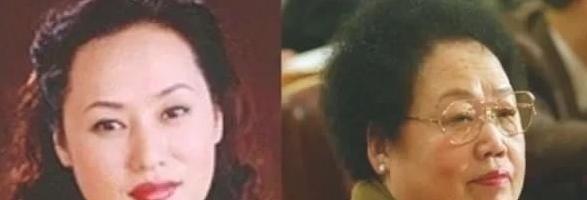 1995年，陈丽华和儿子正在商量生意的问题，迟重瑞却突然插了一句。只见，陈丽华瞬