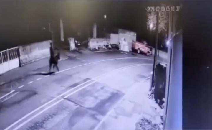 离奇！土耳其“大盗”骑驴抢黄金